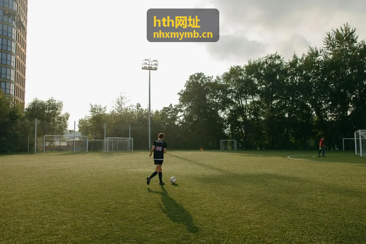 hth网址安全访问提示版块示意图